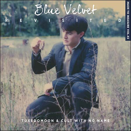 Обложка к альбому - Blue Velvet Revisited