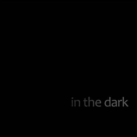 Обложка к альбому - In the Dark