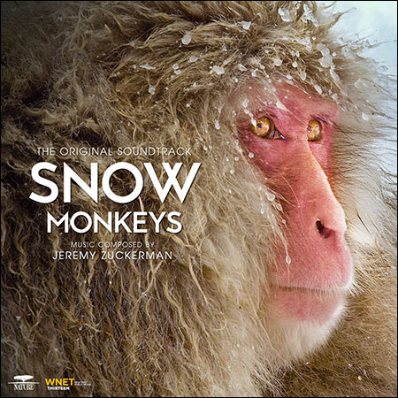 Обложка к альбому - Снежные макаки Японии / Snow Monkeys (from PBS's "Nature")