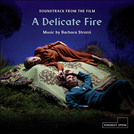 Обложка к альбому - A Delicate Fire