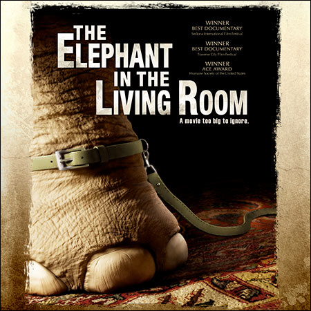Обложка к альбому - Слон в комнате / The Elephant in the Living Room