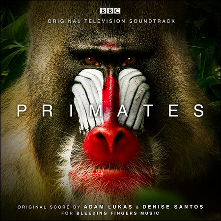 Обложка к альбому - Приматы / Primates