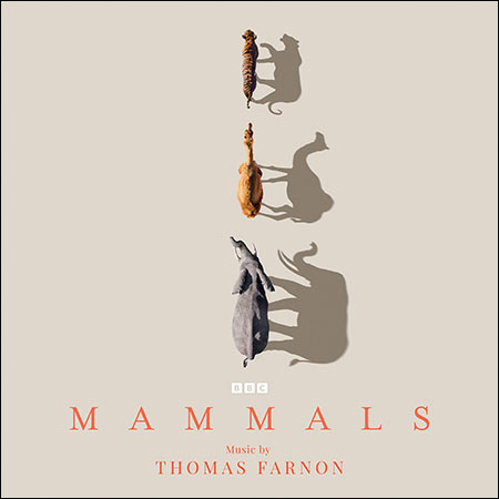 Обложка к альбому - Млекопитающие / Mammals