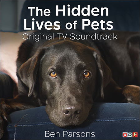Обложка к альбому - The Hidden Lives of Pets